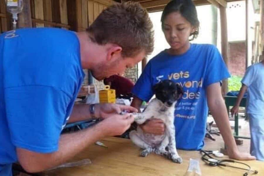 Vets Beyond Borders deploys volunteers to an animal clinic.