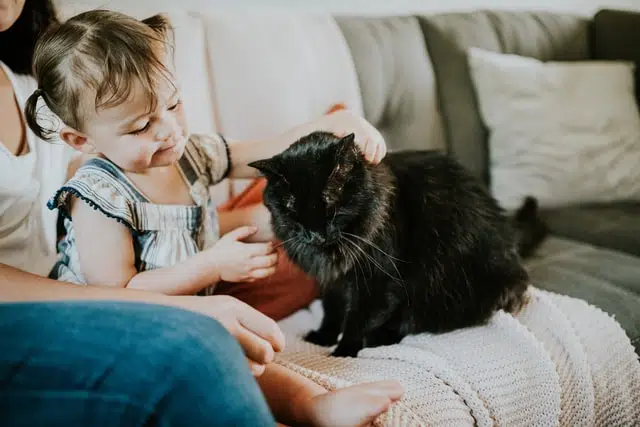 little girl with pet cat on couch
