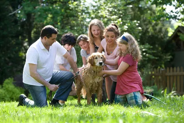 family with pet dog golden retriever on grass