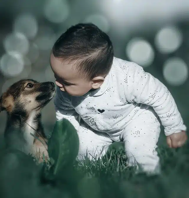 A dog and baby are friends through the steps to introduce your dog to your baby