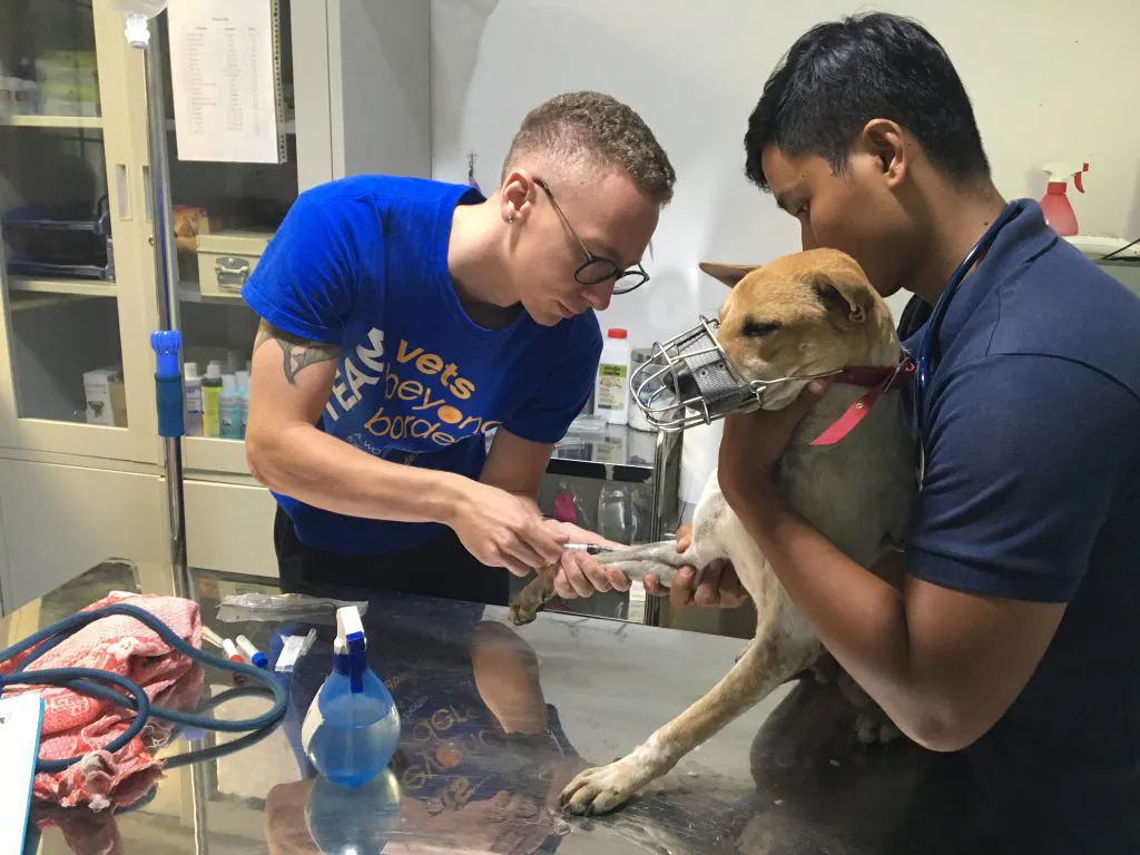 Vets Beyond Borders volunteers at work.