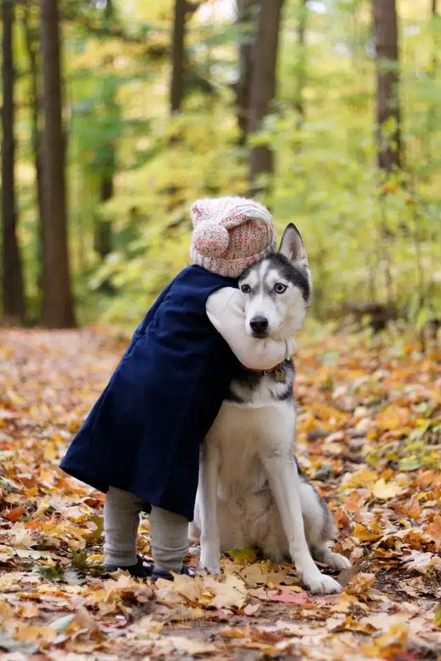 Positive reinforcement dog training is great for building your bond.
