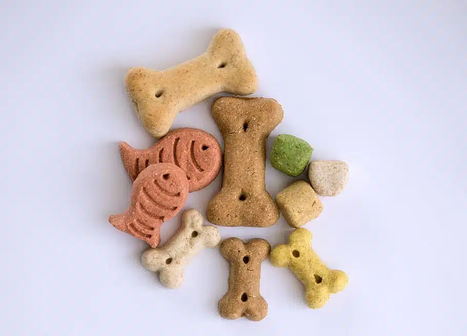Treats can be used in positive reinforcement dog training.