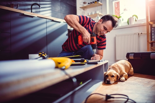 man with pet labrador dog doing construction work with sander