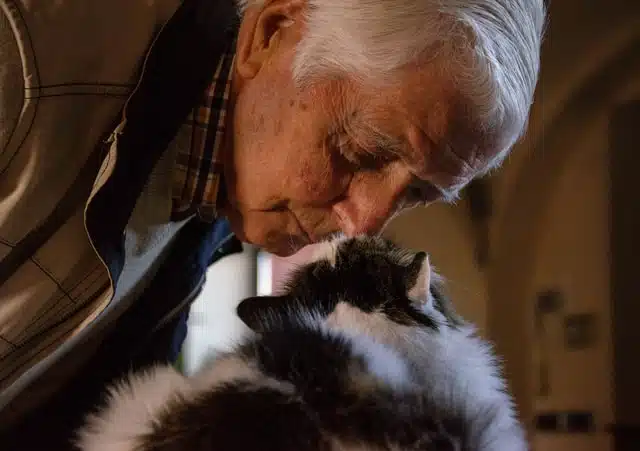 old man kissing black and white cat - how long cats live is a consideration for elderly people getting a cat