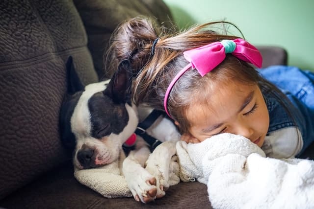 A girl with her dog who's owner is deciding on a dog godparent.