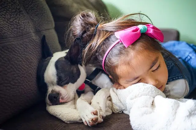 A girl with her dog who's owner is deciding on a dog godparent.