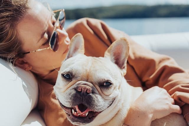 A puppy with his dog godparent.