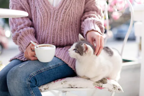 woman pets cat at a cat café 