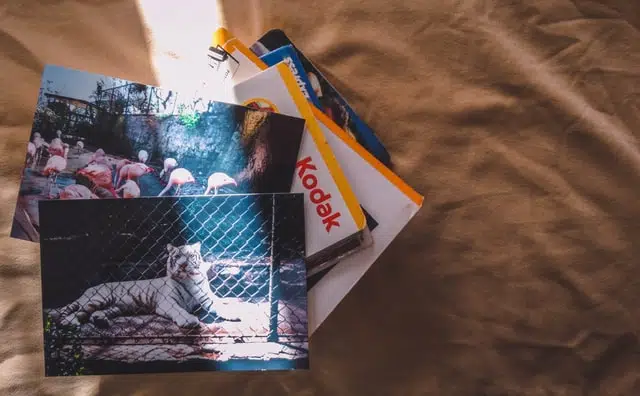 photo album keeps kids occupied as a car DIY hack on drives