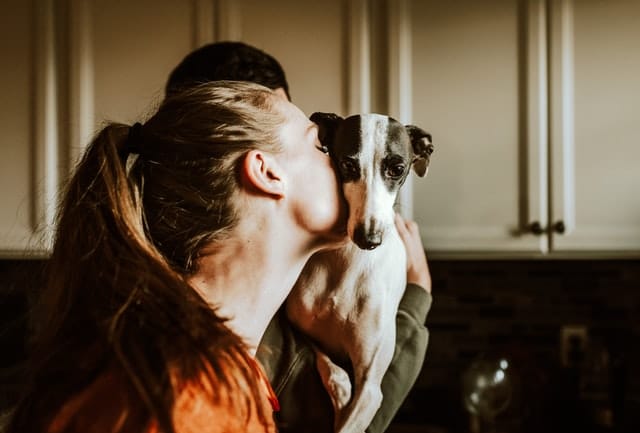 woman kissing black and white greyhound