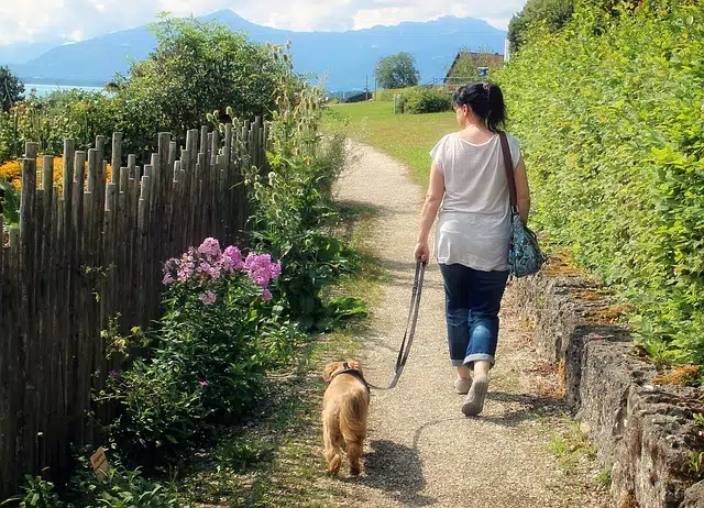 woman walking dog in lane without pulling on lead
