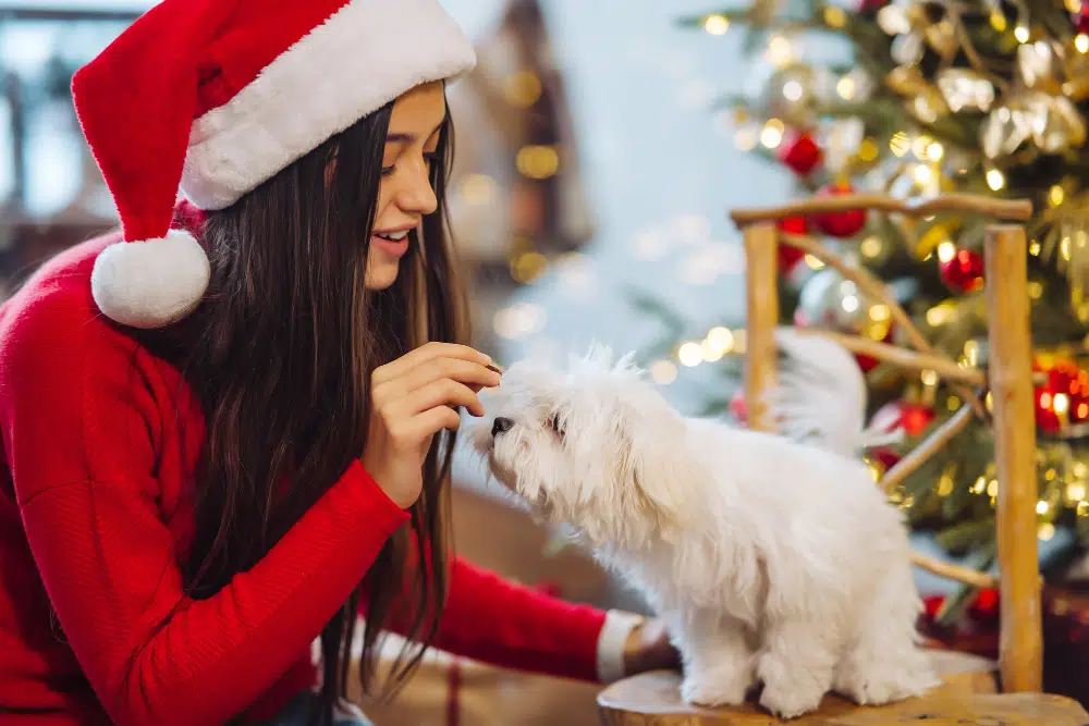 dog treats make great Christmas gifts for pet lovers