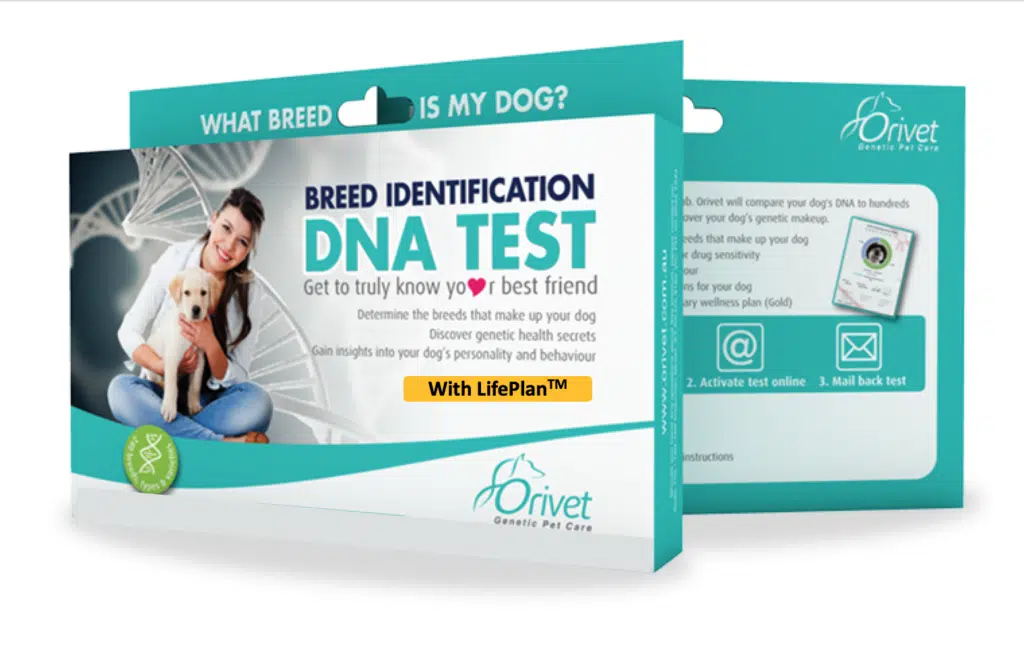 cat and dog dna tests can tell you about genetic makeup