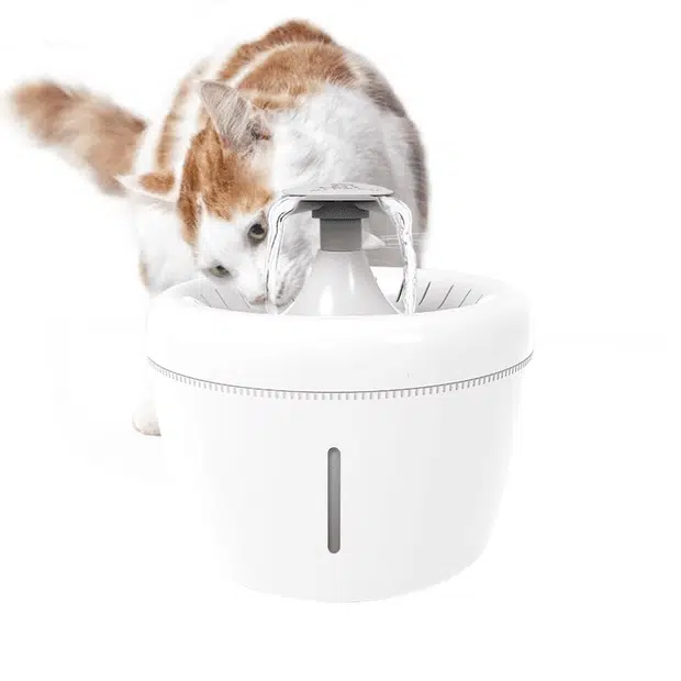 pet water fountain is a good Christmas gift for a pet lover