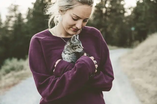 national cat day is a time to adopt or celebrate your cat