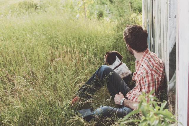 pets and breakups are hard on people and dogs