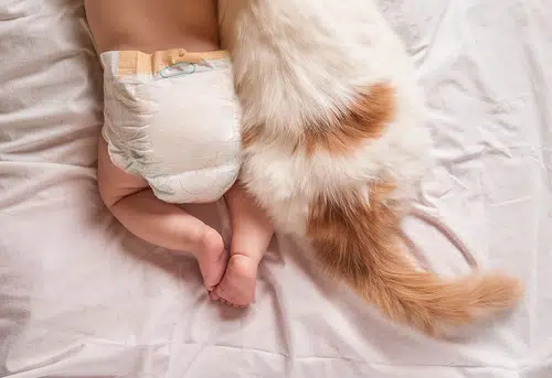 cats tail and babies nappy lying on bed next to each other