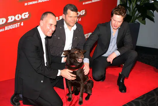 Red Dog is one of the best dog movies about an Aussie dog.