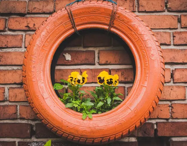 old tyres mounted on walls to make flower planter