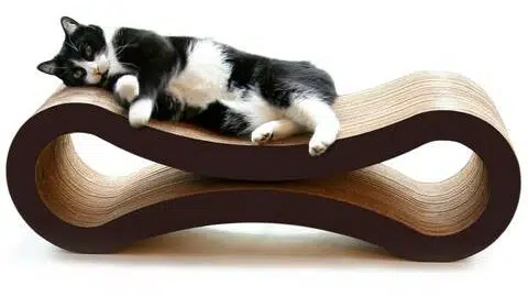 modern cat scratcher