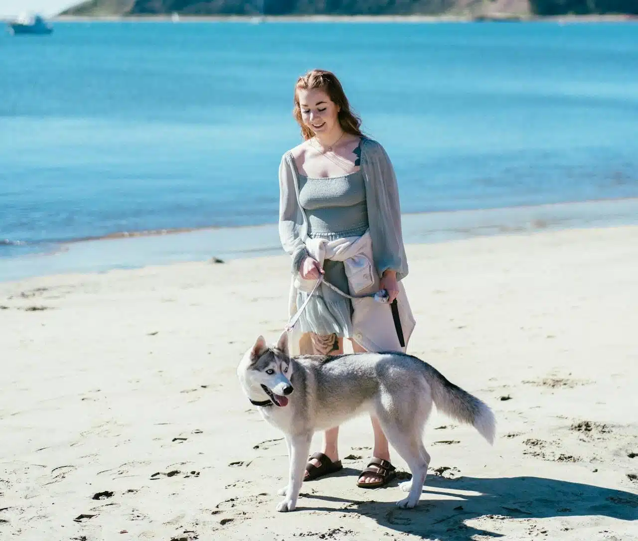 A person stands on a beach holding a gray and white dog on a leash, enjoying the blue water in the background—a perfect scene for those taking your dog on holiday.