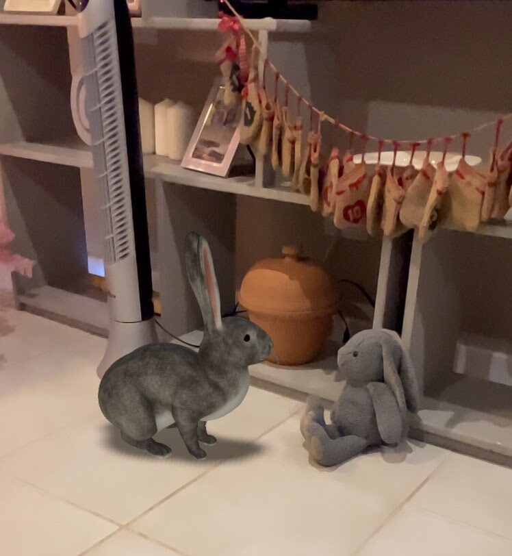 Bunny VR pet is looking at toy bunny
