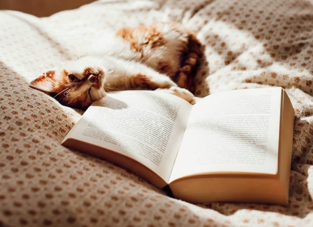 cat loves this 'cat book'