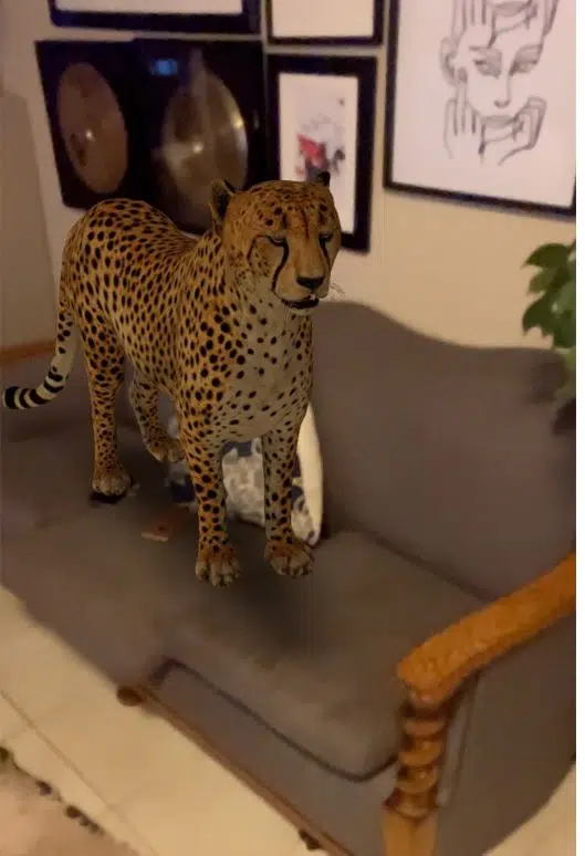 VR pet cheetah stands on couch