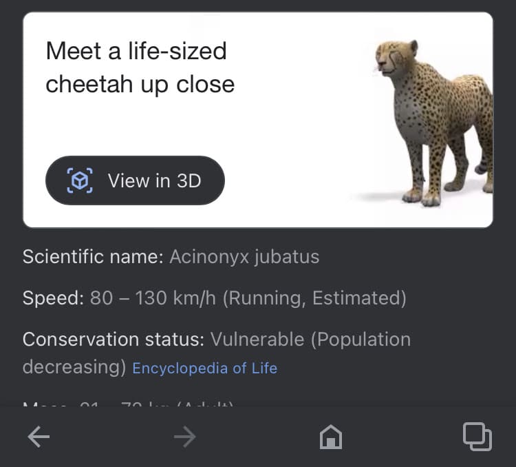 instructions on how to VR pet a cheetah