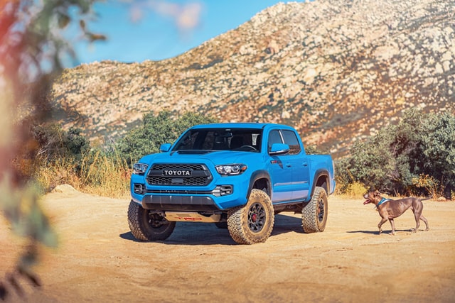 this blue toyota ute is one of australia's most reliable cars and brands