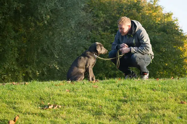 man with dog in park - a benefit of having a dog is the exercise they give you