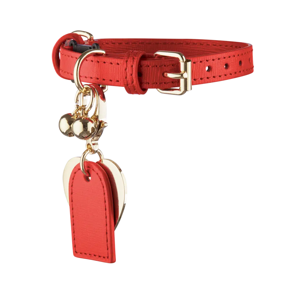 Get your pet a red and gold collar for Chinese New Year 2022