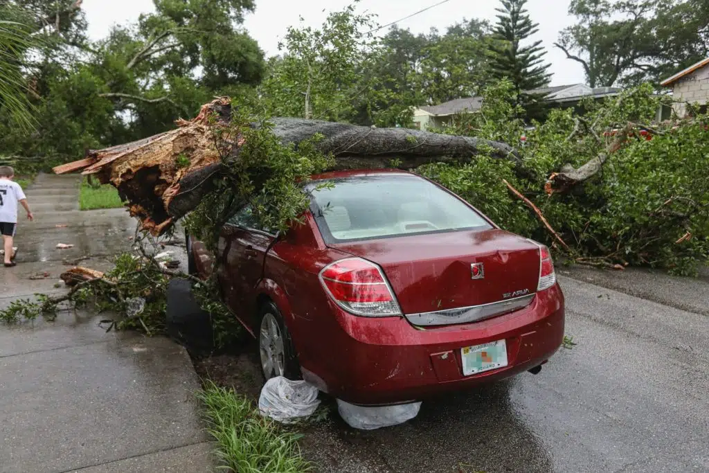 the owner of this car with a tree branch fallen on it will have already chosen between market value and agreed value on their insurance policy