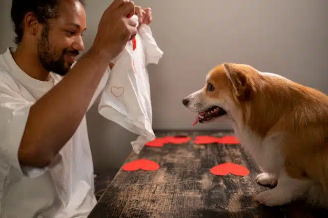 A man holds up a white baby onesie adorned with red hearts in front of his corgi sitting among red paper hearts, pondering softly, "Does my dog love me?.