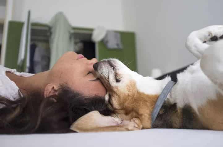 International Women's Day celebrates dogs as best friends