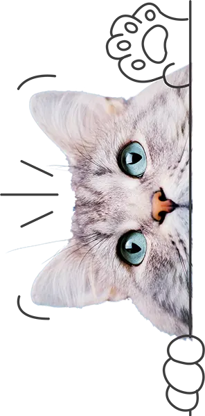 Pet Insurance Australia | Big Savings Online - PD Insurance Pet Insurance Australia | Big Savings Online - PD Insurance