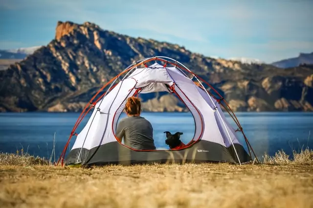 owner and dog camping at lake in tent