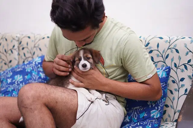 PD Insurance member with their best dog breed