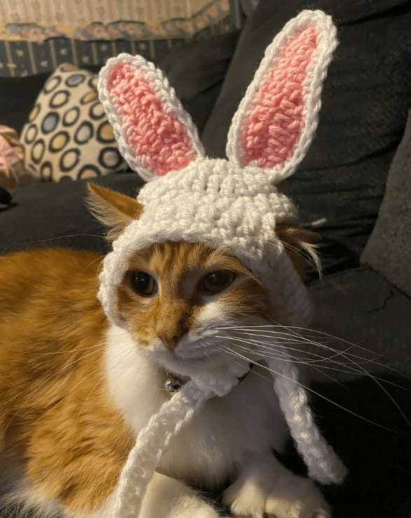 Easter costumes for cats
