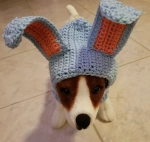 Toy dog in blue and orange knitted Easter bunny ears costumer