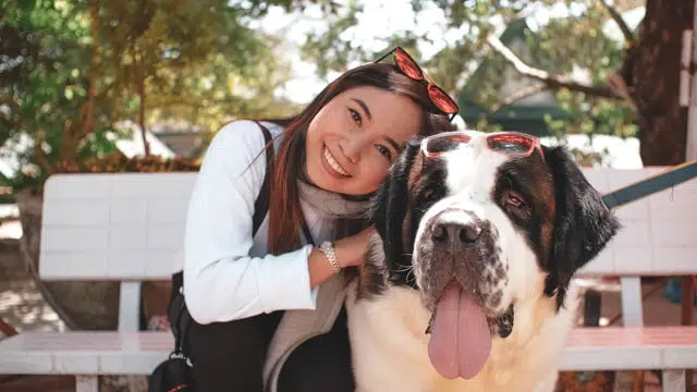 PD Insurance member celebrates National Purebred Dog Day with St Bernard