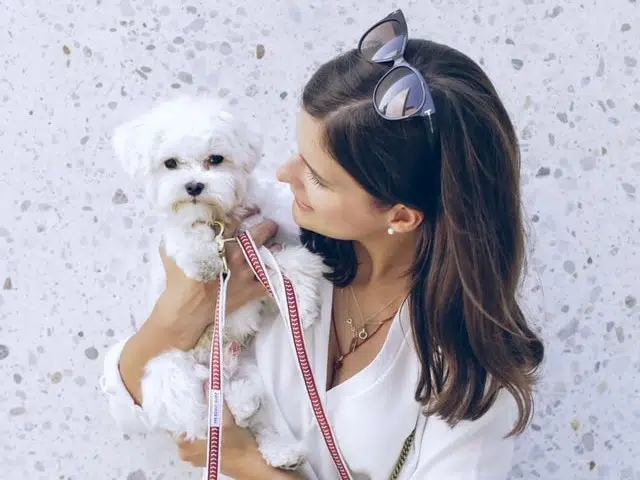 Maltese is this lady's best dog breed
