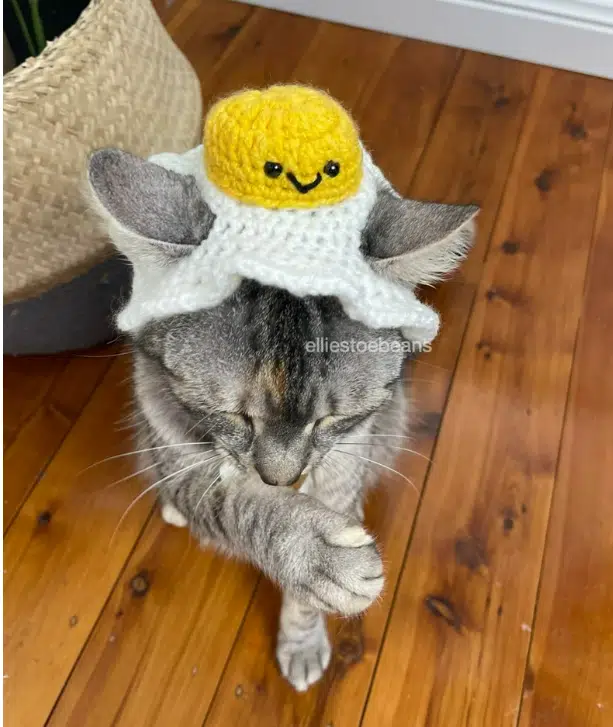 Easter Costumes For Cats: They're Meow-nificant! - PD Insurance