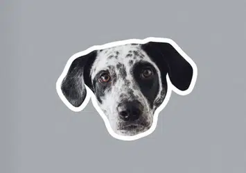 gifts for pet parents