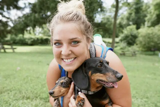 this girl cuddling daschunds wonders can dogs eat Weetbix at doggy daycare