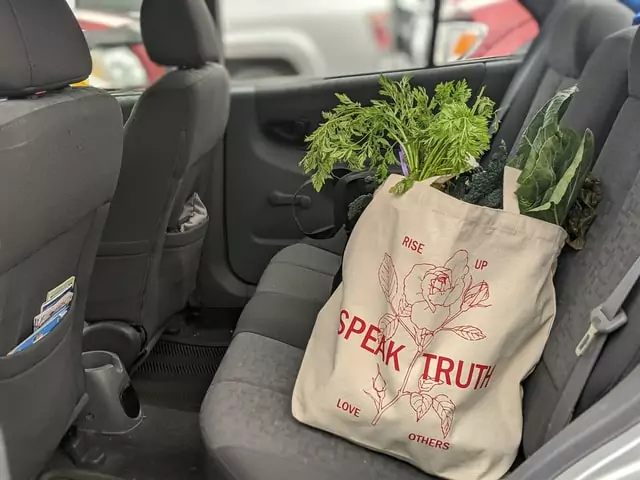 A tote bag with the words "Speak Truth" and vegetables inside sits on the back seat of a car, making you wonder: Why Does My Car Stink? Find out how to get wet smell out of your car for a fresher ride.