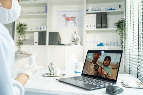 family with cat on a call with an online vet standing in her physical vet rooms