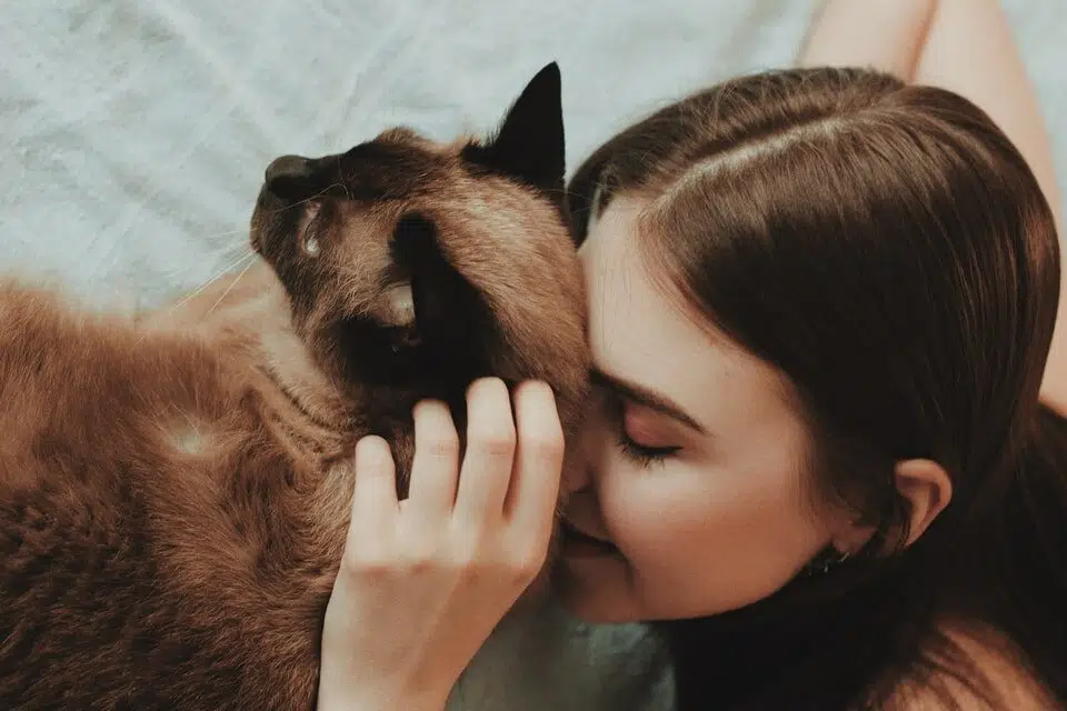 Australian woman fosters a cat for Hug Your Cat Day