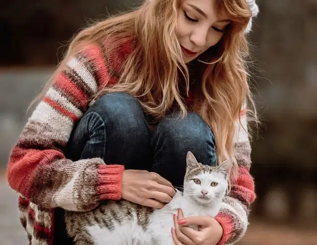 Adopt a cat on Hug Your Cat Day